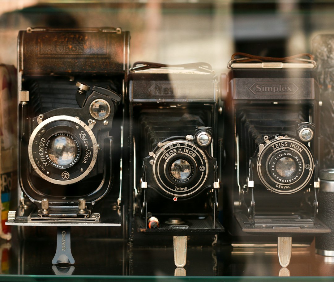 Collection of vintage cameras displayed on shelf representing photography heritage